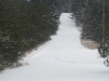 Forbush Corners Ski Trails, 1 January 2016