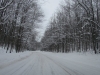 Starvation Lake Road, 17 January 2016.