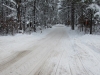 Trail 79 at 612, west of Frederic, 23 January 2016