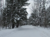 Goose Creek Road, Deward Area, 23 January 2016