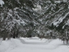 Deward Area, 23 January 2016