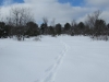 Deward Area, 23 January 2016