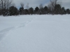 Deward Area, 23 January 2016