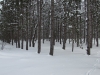Deward Area, 23 January 2016
