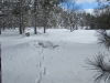 Deward Area, 23 January 2016