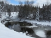 Manistee River, Deward Area, 23 January 2016