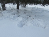Deer Camp by the Manistee River, Deward Area, 23 January 2016