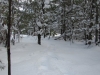 Snowshoeing on top of knee-deep snow, Deward Area, 23 January 2016