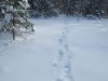 Deward Area, 23 January 2016