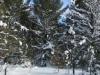 Deward Area, 23 January 2016