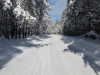 Goose Creek Road, Deward Area, 23 January 2016