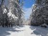 Goose Creek Road, Deward Area, 23 January 2016